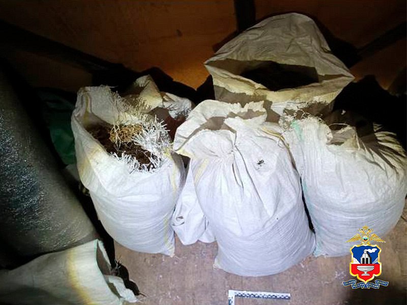 На Алтае полицейские возбудили уголовное дело в отношении наркодельца, заготовившего 18 кг марихуаны На Алтае полицейские возбудили уголовное дело в отношении наркодельца, заготовившего 18 кг марихуаны