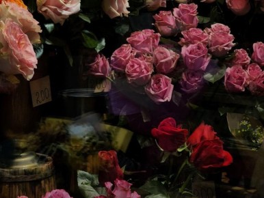 Приморское межрегиональное управление Россельхознадзора сообщило о запрете ввоза 26,3 тыс