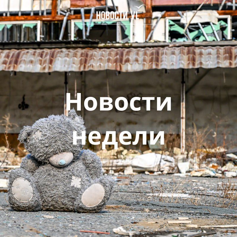 Материалы недели от Новостей VL, которые вы могли пропустить: