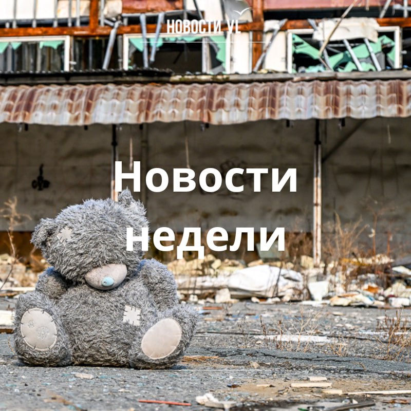 Материалы недели от Новостей VL, которые вы могли пропустить: