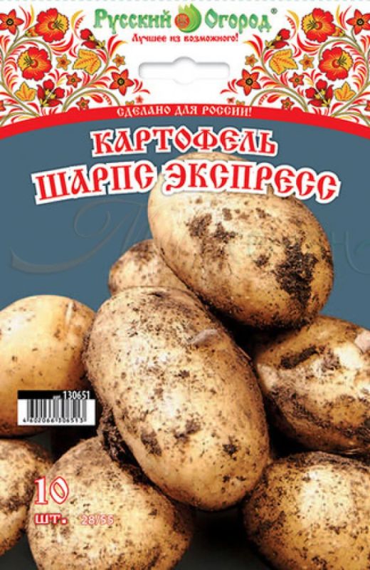 Почему сорт картофеля выбирает каждый садовод: новое обилие прилавков с 17+ сортами