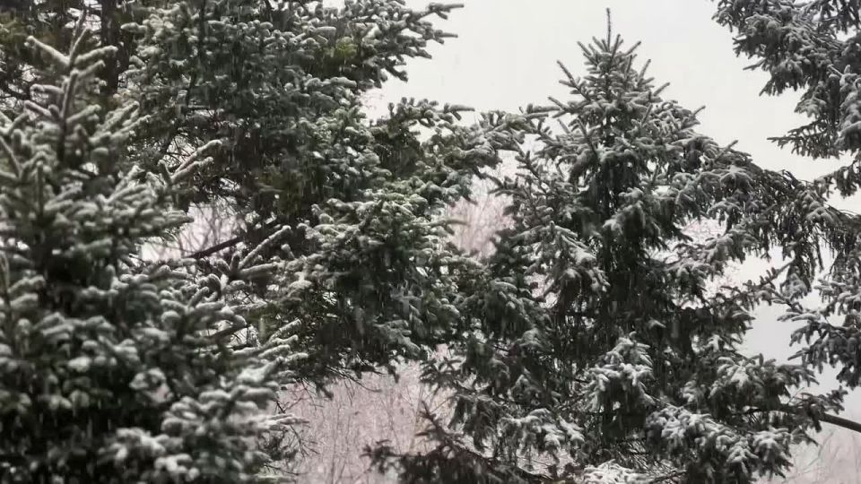 Доброе утро, Уссурийск!. Сегодня пятница, 28 ноября — впереди выходные, но ещё столько возможностей сделать день продуктивным и приятным