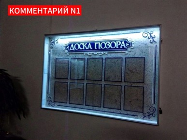 Идея доски позора: как депутаты могут быть привлечены к ответу