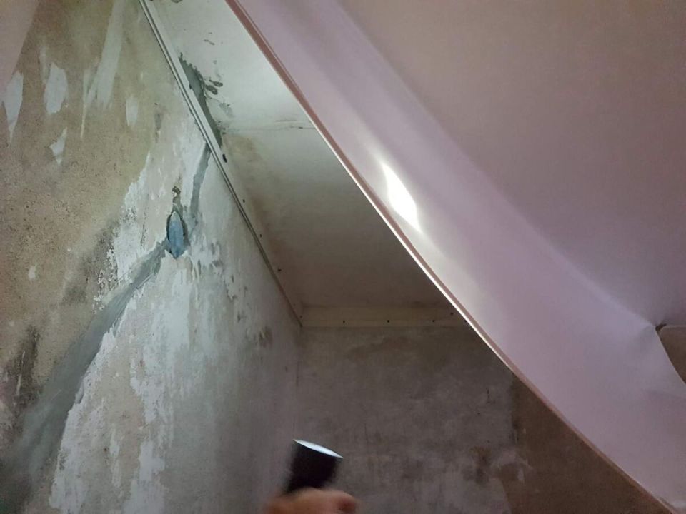 Как эффективно избавиться от плесени за натяжным потолком: практическое руководство