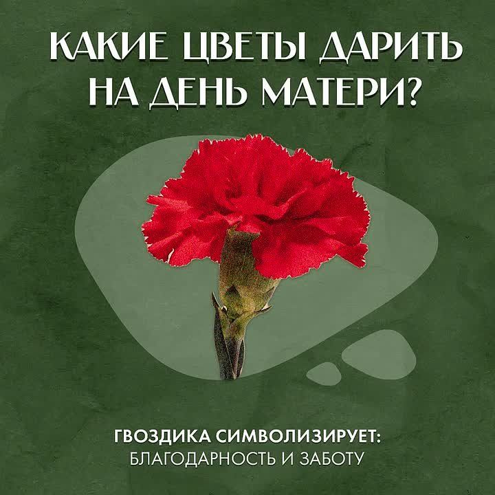 День матери уже завтра!. И если вы не знаете, какой букет выбрать для мамы — доверьтесь случаю Открывайте наш «Цветочный рандомайзер», делайте скрин и цветок, который попадётся, станет вашей подсказкой Пусть вселенная сама...