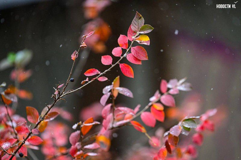 Сегодня во Владивостоке до +5 °С, вечером небольшой дождь