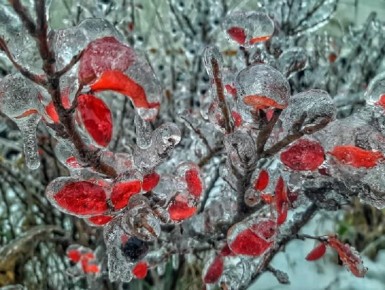 Прогноз погоды на начало зимы в Приморье: умеренно и с небольшими снегопада