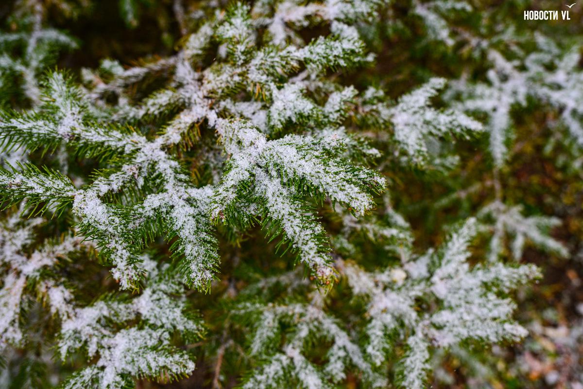 Доброе утро, Владивосток!. Сегодня воскресенье, 30 ноября
