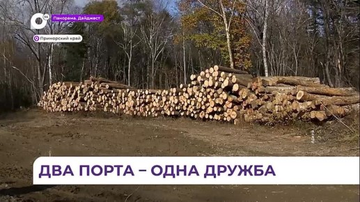 Владивосток и Далянь празднуют годовщину сотрудничества городов-побратимов