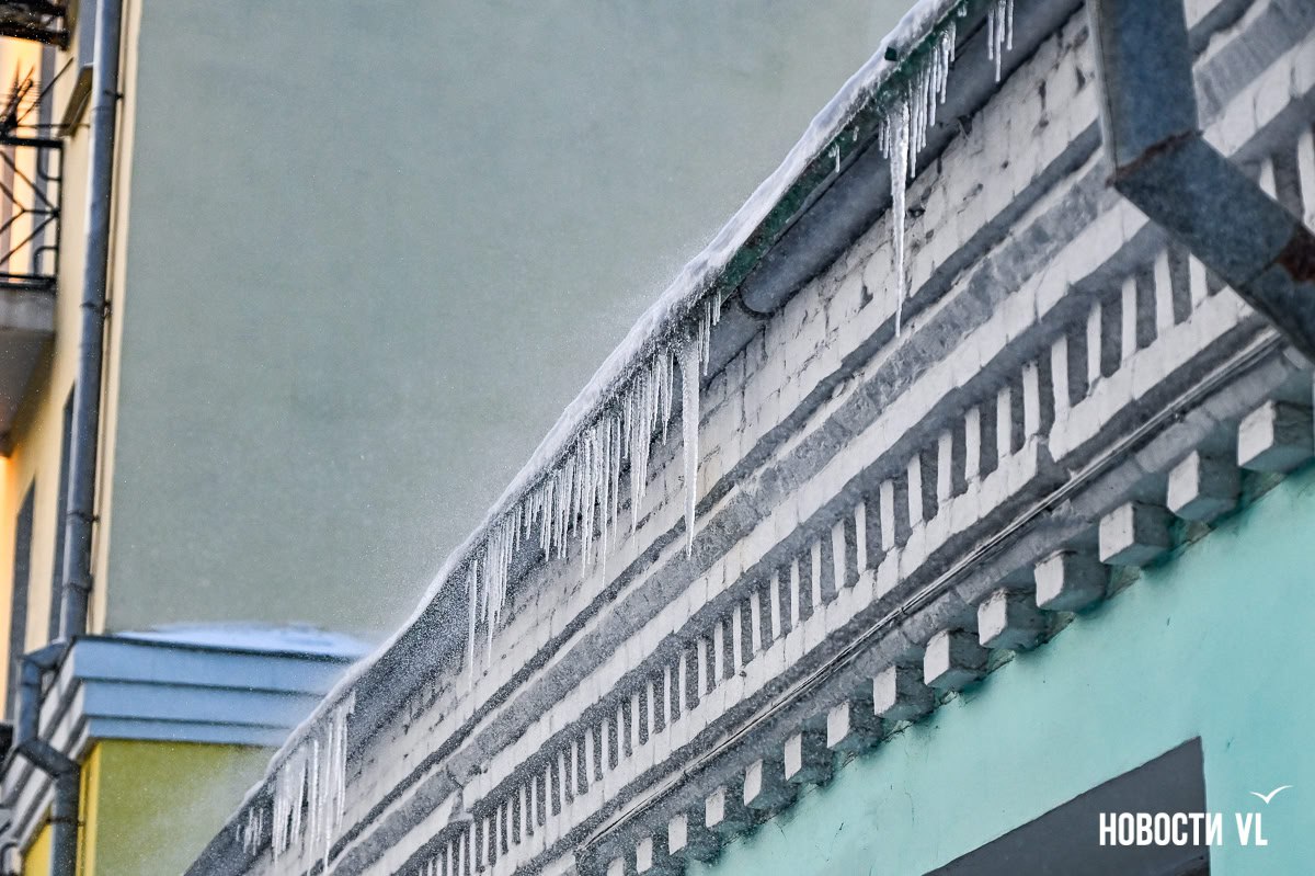 Город в белом — Владивосток встретил первый зимний снегопад Город в белом — Владивосток встретил первый зимний снегопад