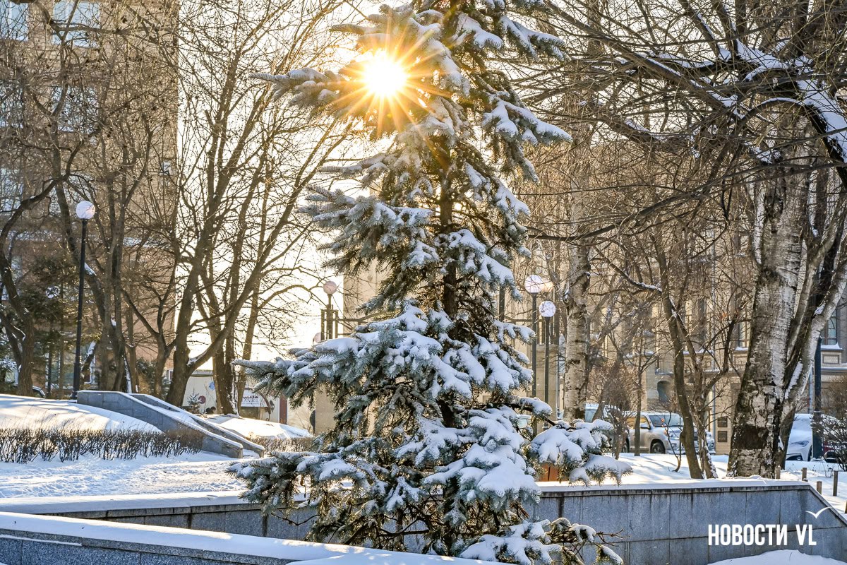 Город в белом — Владивосток встретил первый зимний снегопад Город в белом — Владивосток встретил первый зимний снегопад