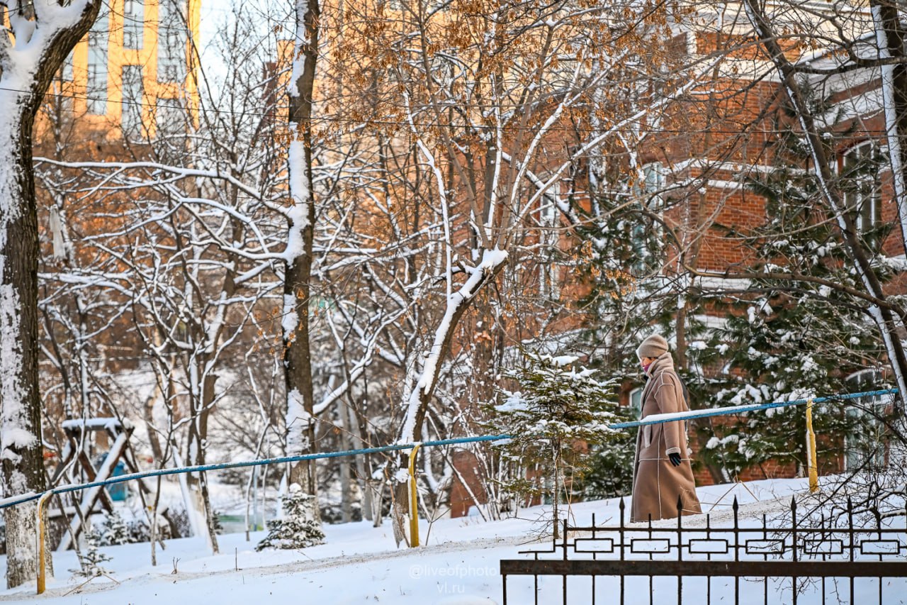 Владивосток сегодня проснулся под слоем свежего снега Владивосток сегодня проснулся под слоем свежего снега