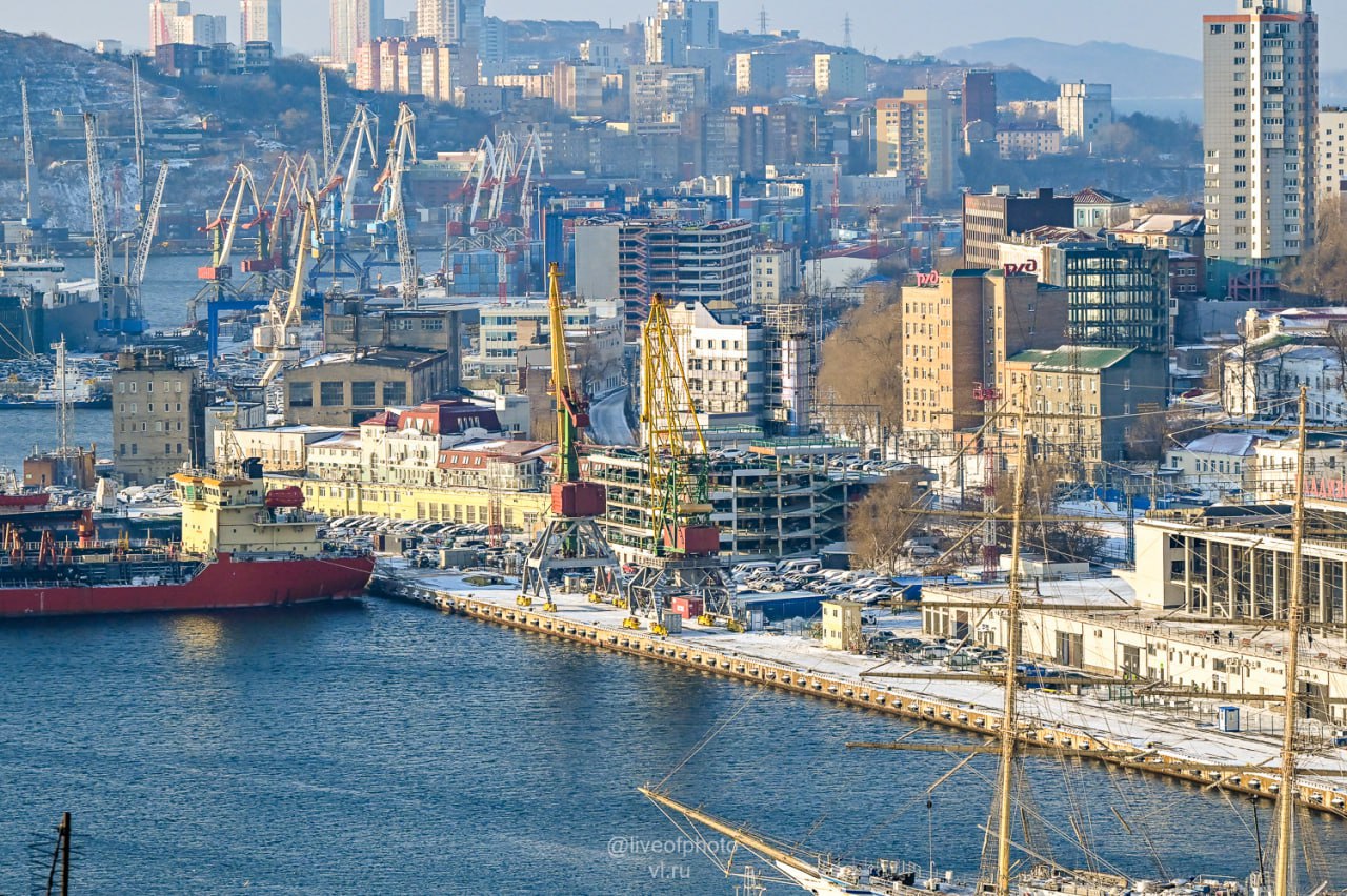 Владивосток сегодня проснулся под слоем свежего снега Владивосток сегодня проснулся под слоем свежего снега