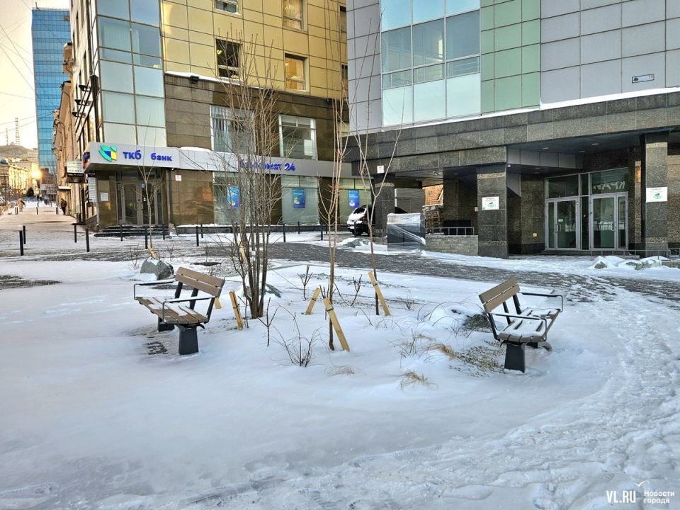 Улицу Мордовцева открыли после реконструкции, но пока не почистили Улицу Мордовцева открыли после реконструкции, но пока не почистили