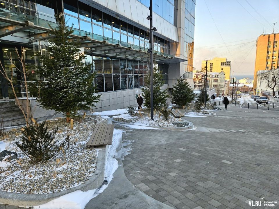 Улицу Мордовцева открыли после реконструкции, но пока не почистили Улицу Мордовцева открыли после реконструкции, но пока не почистили