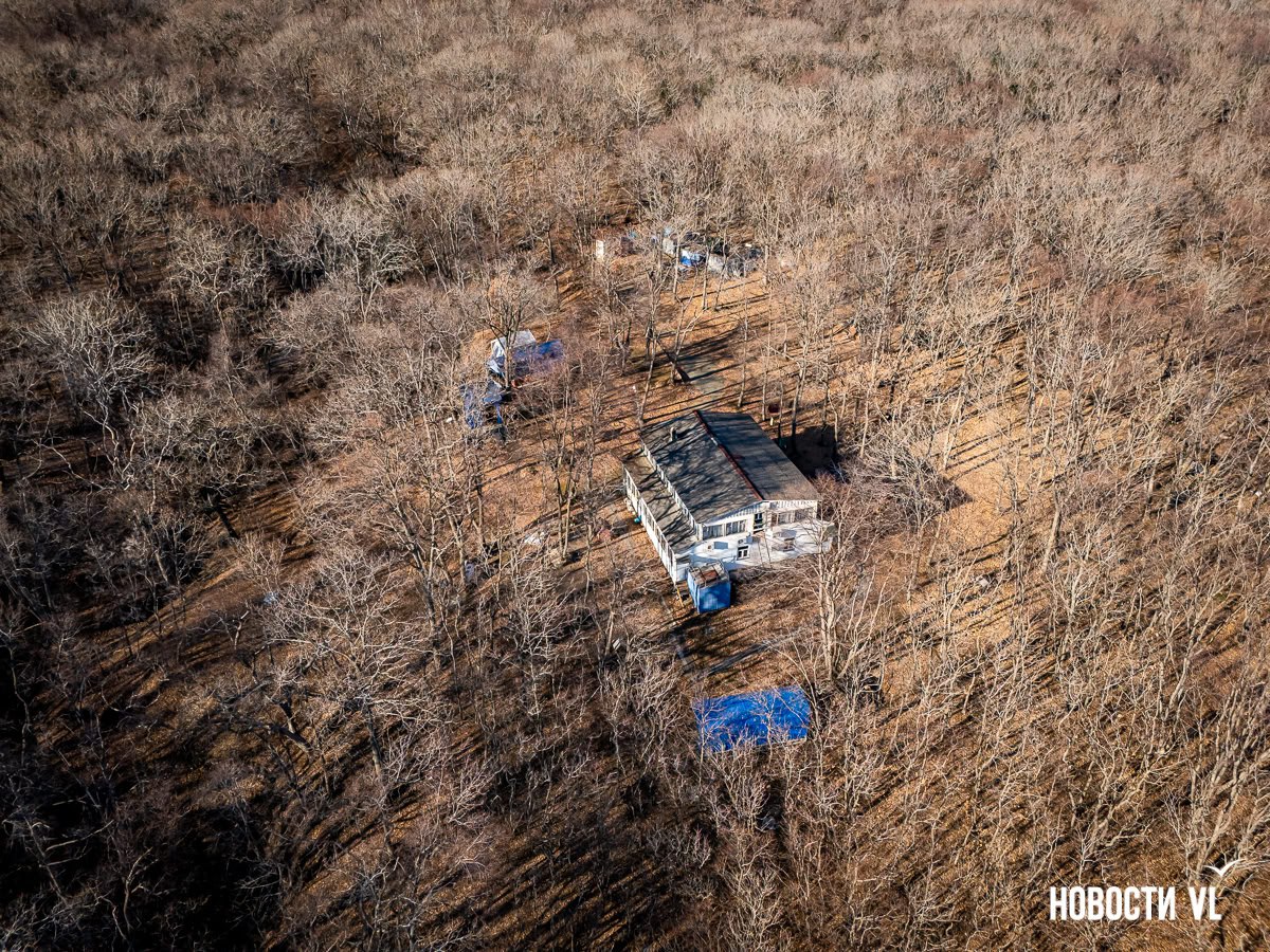 Первой КРТ в районе Шаморы станет бывшая база отдыха телевидения Первой КРТ в районе Шаморы станет бывшая база отдыха телевидения