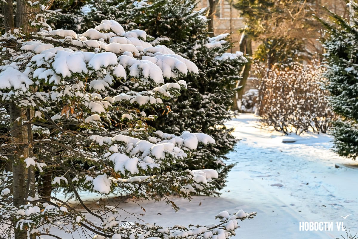Город в белом — Владивосток встретил первый зимний снегопад Город в белом — Владивосток встретил первый зимний снегопад