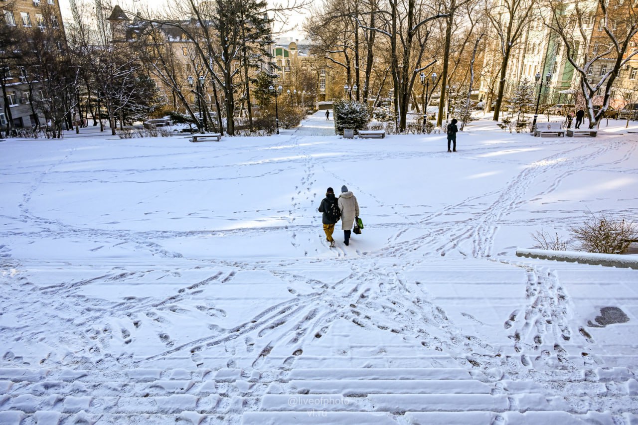 Владивосток сегодня проснулся под слоем свежего снега Владивосток сегодня проснулся под слоем свежего снега