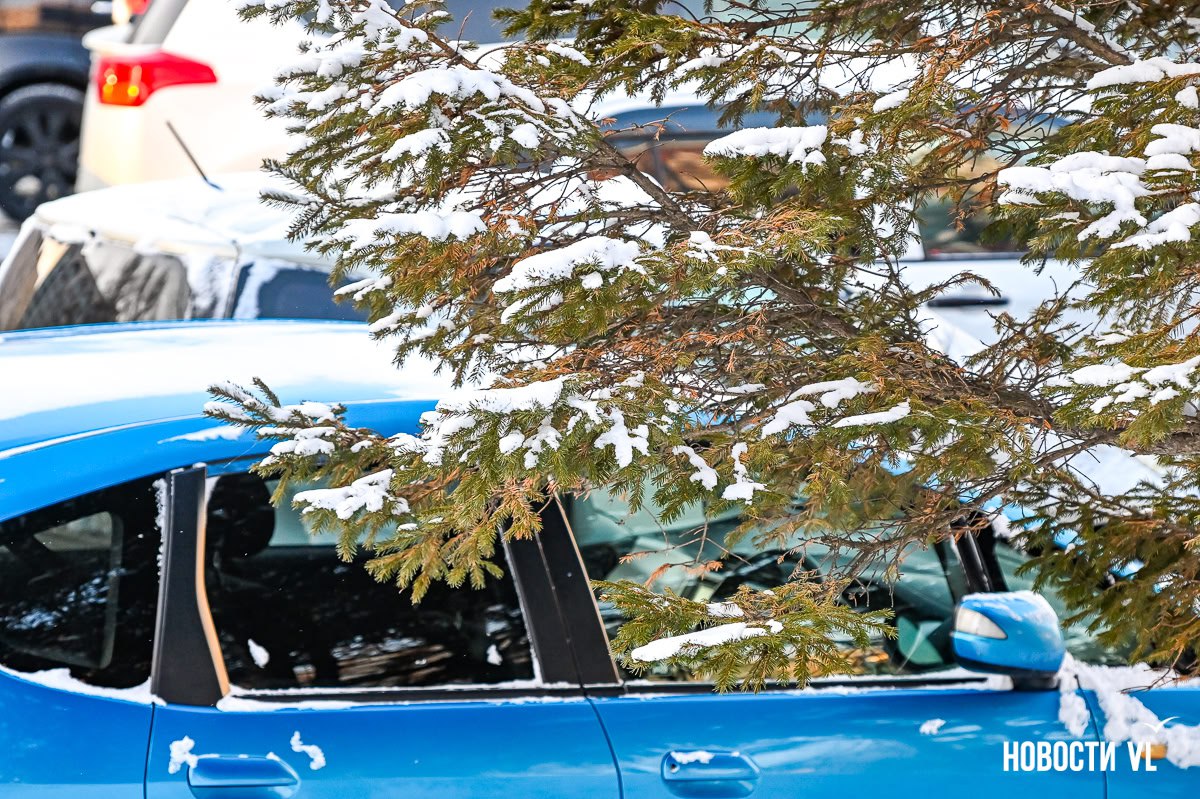 Город в белом — Владивосток встретил первый зимний снегопад Город в белом — Владивосток встретил первый зимний снегопад