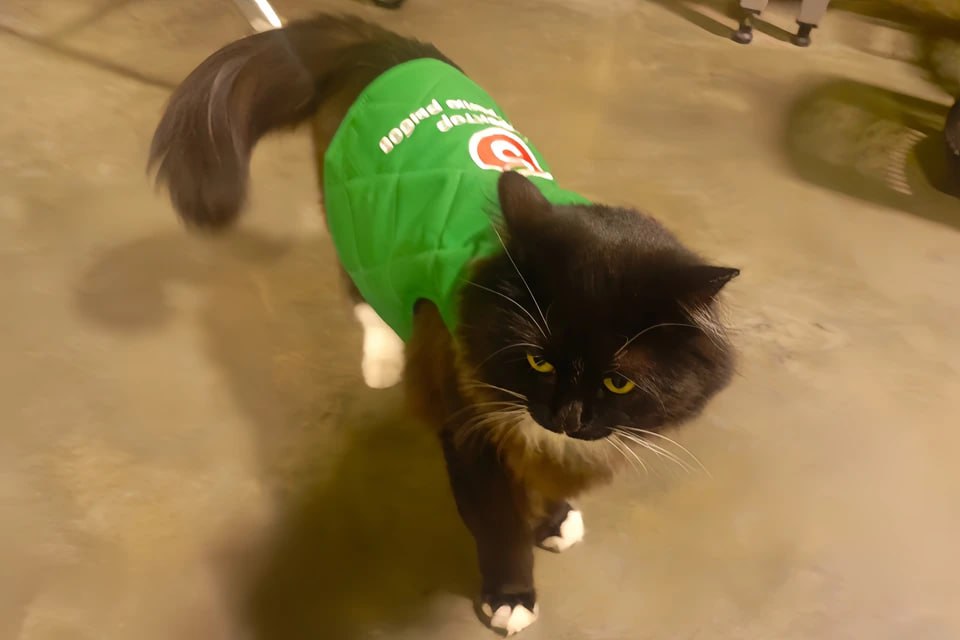 Корреспондент "КП-Владивосток" побывала на приеме у известного "директора по контролю рыбов" и узнала ее историю успеха