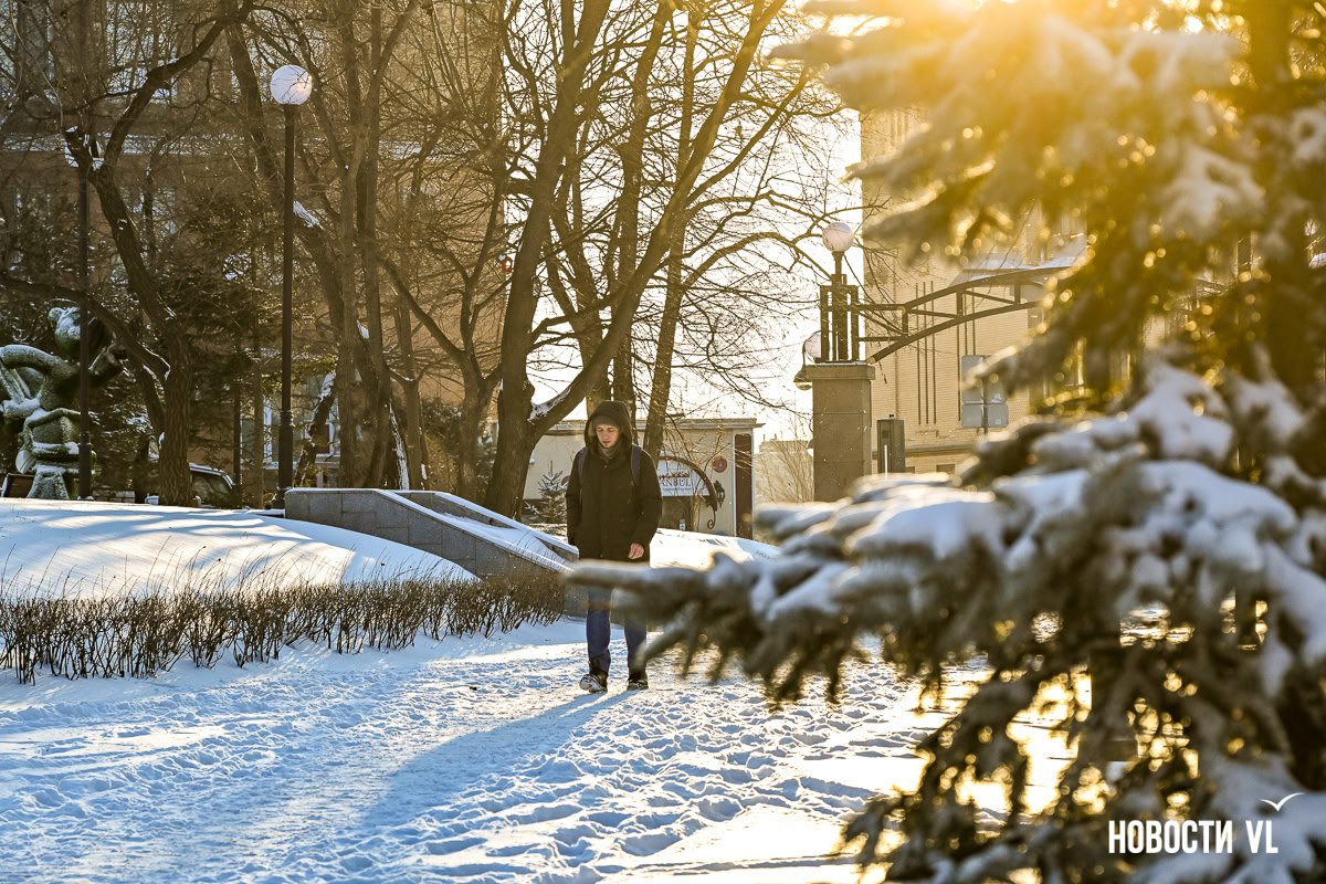 Город в белом — Владивосток встретил первый зимний снегопад Город в белом — Владивосток встретил первый зимний снегопад