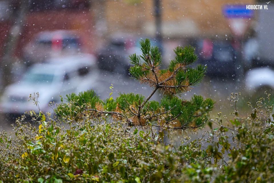 Доброе утро, Владивосток. Утром возможен слабый снег