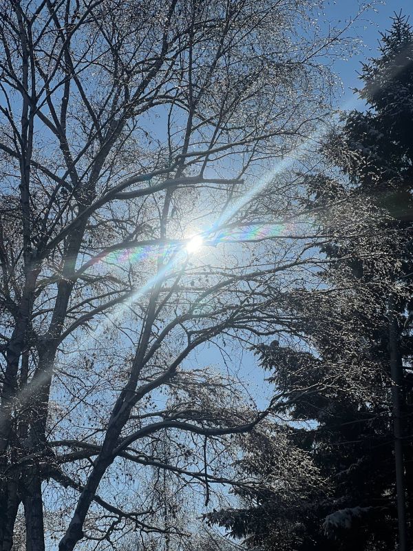 Доброе утро, Уссурийск!. Сегодня вторник, 2 декабря — новый зимний день, который обещает быть спокойным и продуктивным
