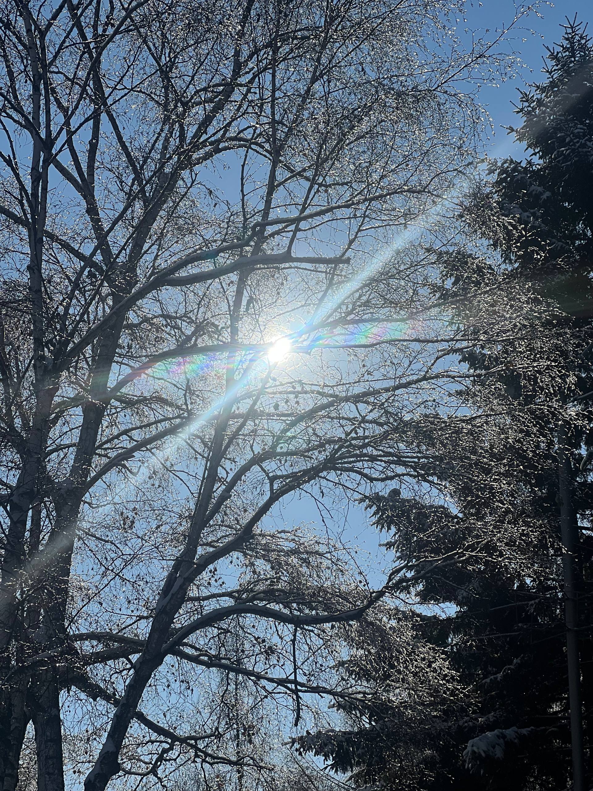 Доброе утро, Уссурийск!. Сегодня вторник, 2 декабря — новый зимний день, который обещает быть спокойным и продуктивным