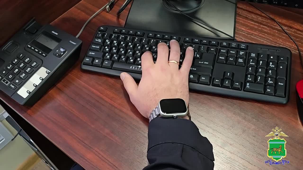 В Биробиджане за серию киберкраж с ущербом более 4,5 млн рублей в суде ответит житель Владивостока