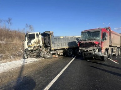 В Приморье выпавшего из кабины водителя самосвала насмерть задавил другой самосвал