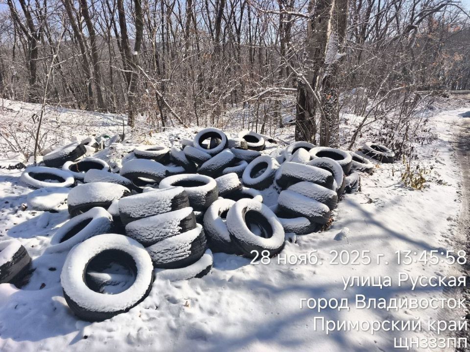 Подводим итоги работы в последнюю осеннюю неделю этого года Подводим итоги работы в последнюю осеннюю неделю этого года