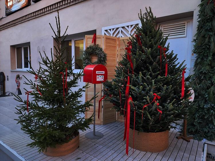 В этом новогоднем сезоне россияне смогут приобрести около 500 тысяч живых хвойных деревьев, из которых 70% имеют отечественное происхождение