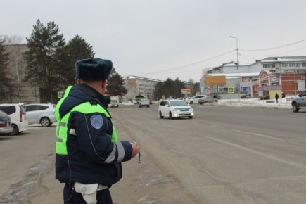 Полицейские Пожарского округа провели профилактические беседы с пожилыми людьми и водителями автомобилей