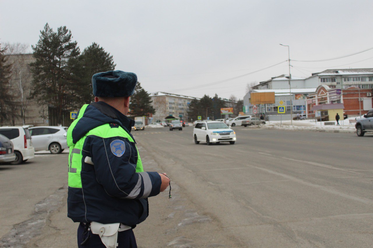 Полицейские Пожарского округа провели профилактические беседы с пожилыми людьми и водителями автомобилей