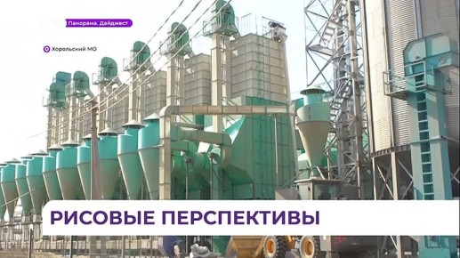 Белое золото тоннами сыплется в Хорольском округе