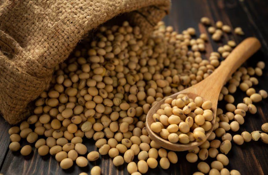 Уссурийские аграрии собрали щедрый урожай сои