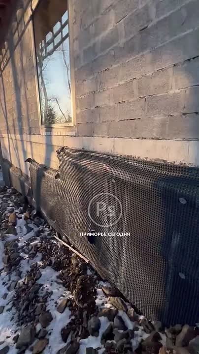 Сову спасли из дренажной трубы на стройке Владивостока