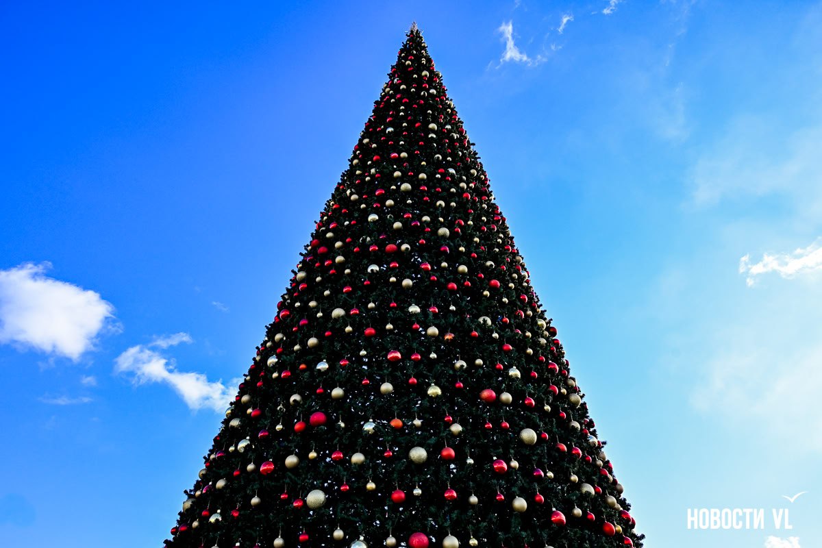 На центральной площади уже собрали новогоднюю ёлку На центральной площади уже собрали новогоднюю ёлку