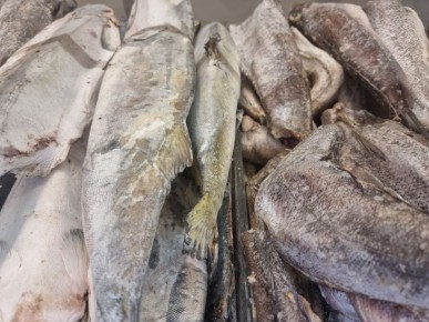 Забудьте про шашлык: эта рыба на мангале покоряет всех с первого кусочка