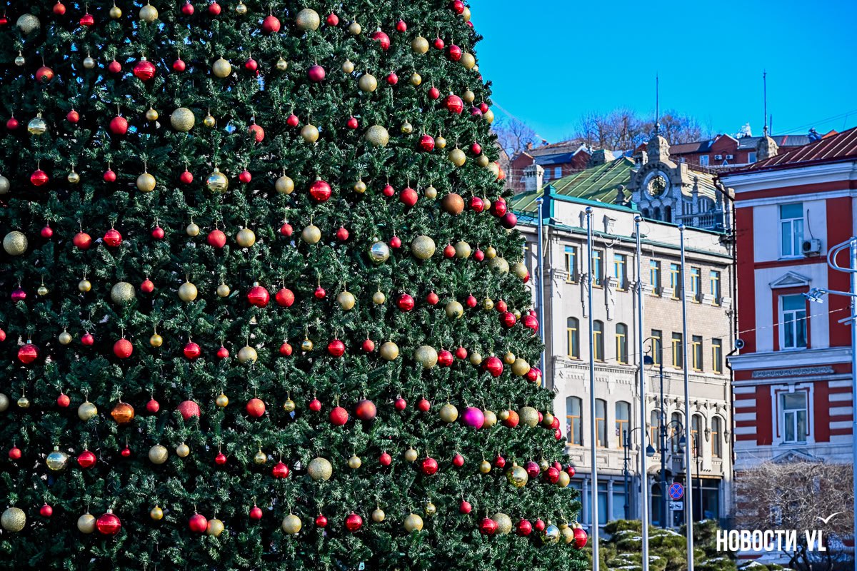 На центральной площади уже собрали новогоднюю ёлку На центральной площади уже собрали новогоднюю ёлку