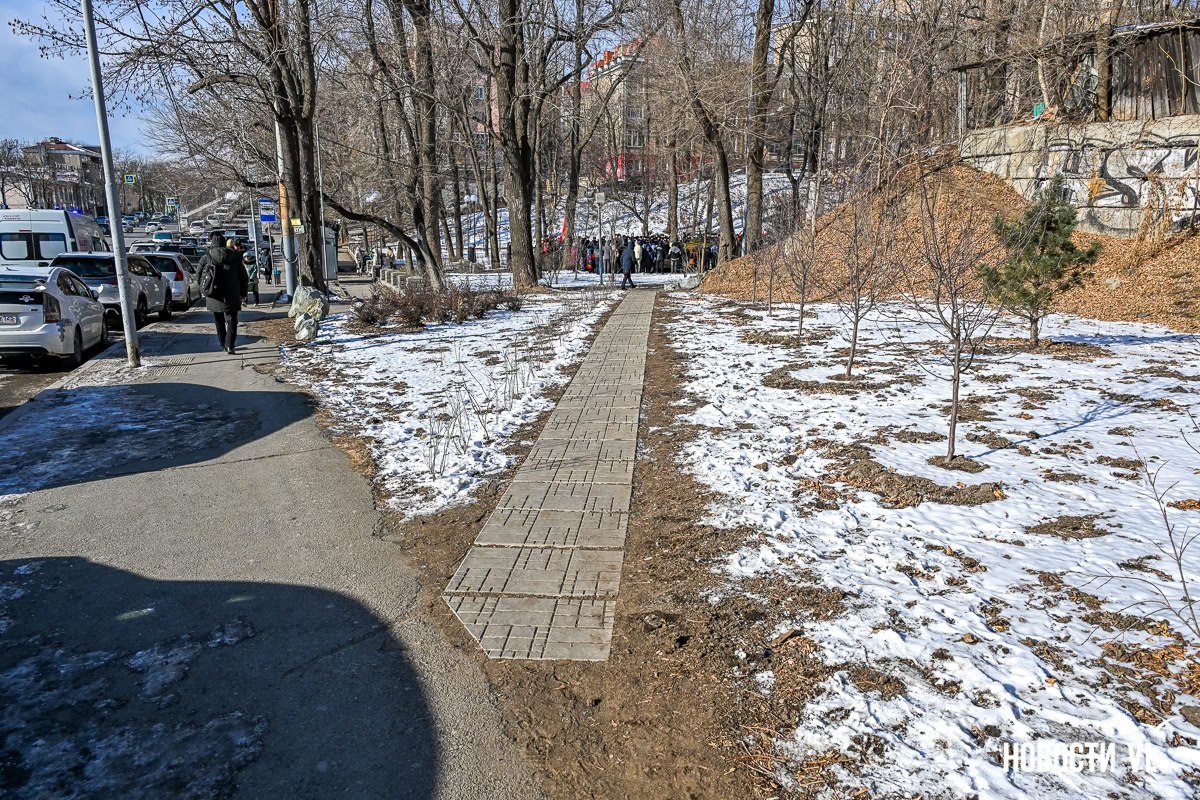 Городские озеленители закончили благоустройство пустыря около остановки «Гайдамак»