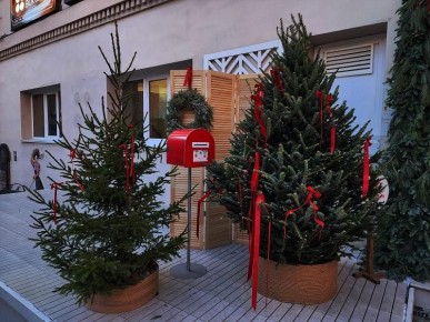 В этом году россияне потратят в среднем 4 808 рублей на покупку искусственной елки и минимального набора украшений