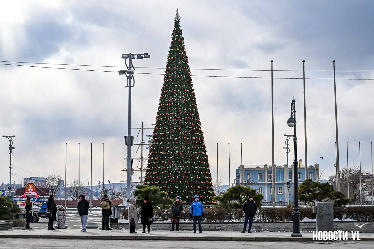 На центральной площади уже собрали новогоднюю ёлку На центральной площади уже собрали новогоднюю ёлку