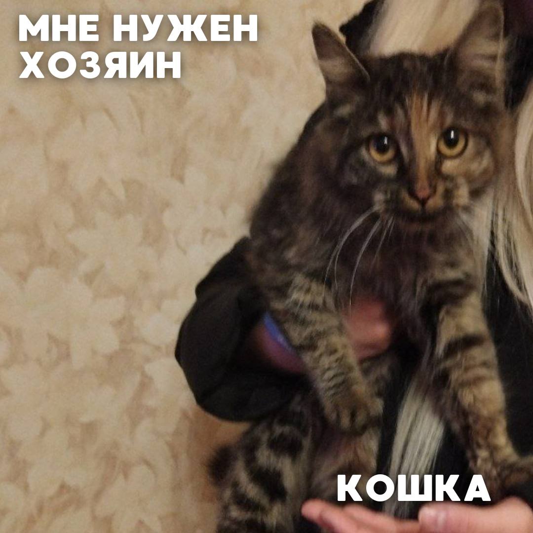 Сегодня в рубрике #Ищу_человека делимся информацией от наших подписчиков, которые взяли себе самых очаровательных питомцев на временную передержку и ищут им теплый дом Сегодня в рубрике #Ищу_человека делимся информацией от наших подписчиков, которые взяли себе самых очаровательных питомцев на временную передержку и ищут им теплый дом