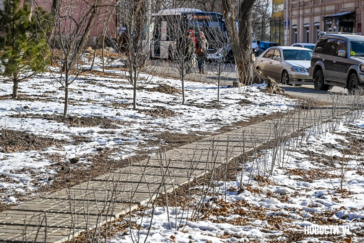 Городские озеленители закончили благоустройство пустыря около остановки «Гайдамак» Городские озеленители закончили благоустройство пустыря около остановки «Гайдамак»