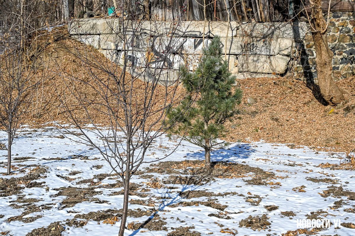 Городские озеленители закончили благоустройство пустыря около остановки «Гайдамак» Городские озеленители закончили благоустройство пустыря около остановки «Гайдамак»