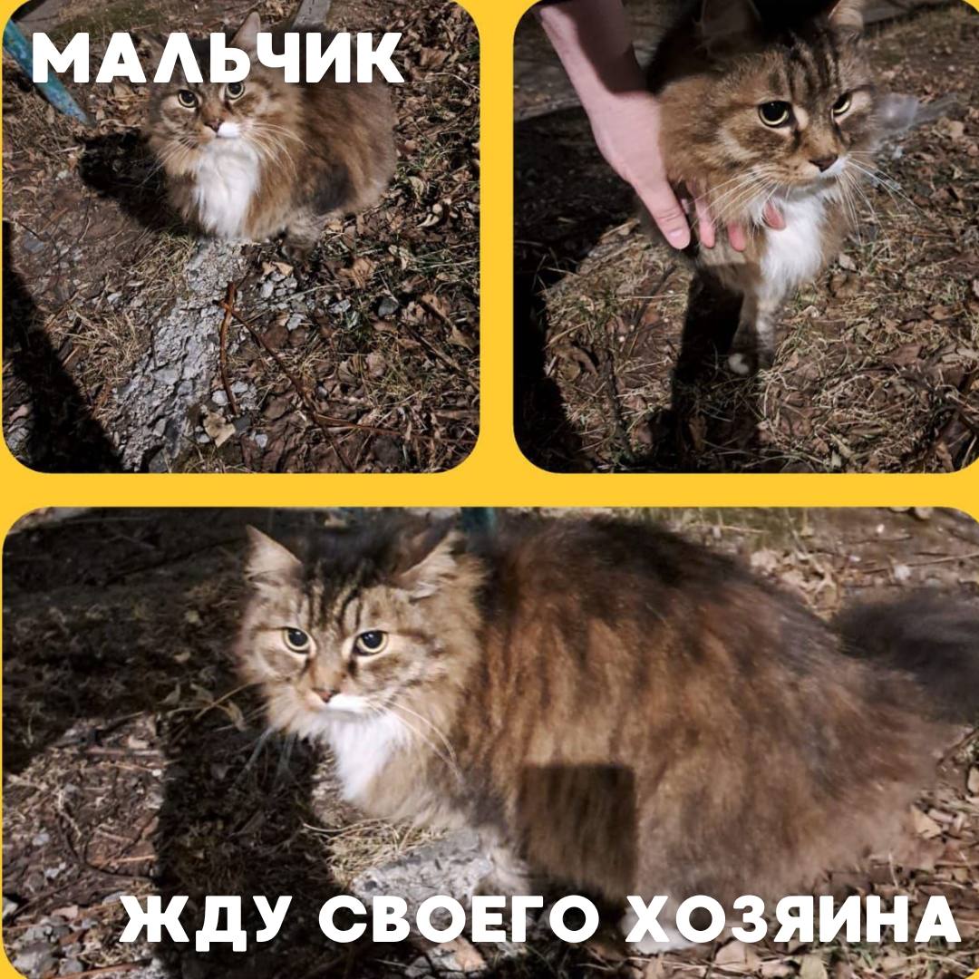 Сегодня в рубрике #Ищу_человека делимся информацией от наших подписчиков, которые взяли себе самых очаровательных питомцев на временную передержку и ищут им теплый дом Сегодня в рубрике #Ищу_человека делимся информацией от наших подписчиков, которые взяли себе самых очаровательных питомцев на временную передержку и ищут им теплый дом