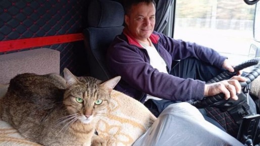 Кота по кличке Федос, который потерялся в вагоне во время поездки, нашли спустя почти шесть дней и вернули его семье в Москву