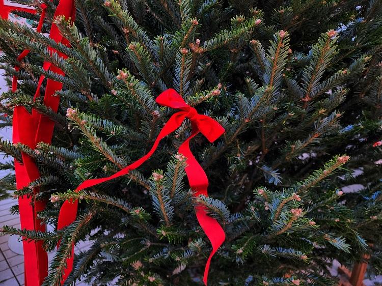 Новый год не за горами, и жители Дальнего Востока активно готовятся к празднику