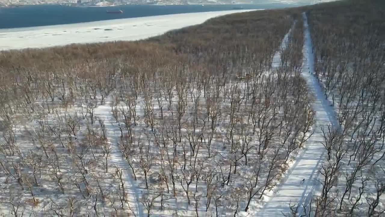 Константин Шестаков: Начали подготовку муниципальной лыжной базы «Русская лыжня» на Русском острове
